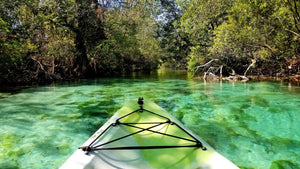 Top 5 Kayaking Essentials You Should Never Hit the Water Without
